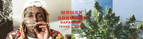 PSILOCYBIN Алексин