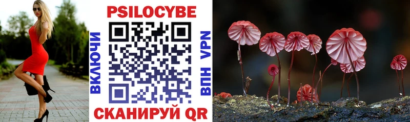 Псилоцибиновые грибы Cubensis  кракен ТОР  Ставрополь 